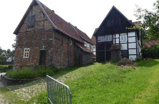 Bauernhaus kaufen in 34270 Schauenburg, Schauenburg - Fachwerkhof?