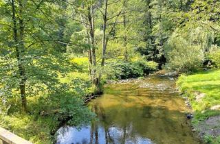 Grundstück zu kaufen in 01814 Rathmannsdorf, Idyllisches Grundstück im Landschaftsschutzgebiet am Fluss Sebnitz zu verkaufen