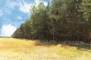 Gewerbeimmobilie kaufen in 19258 Schwanheide, Auktion - Acker und Wald in 19258 Schwanheide, An der Zweedorfer Straße