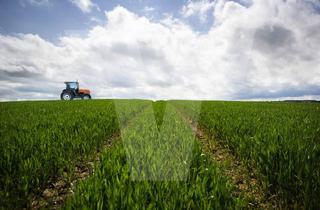 Immobilie kaufen in Riedstraße, 86720 Nördlingen, Ackerland zu insgesamt ca. 2,7 ha in der Gemarkung Grosselfingen