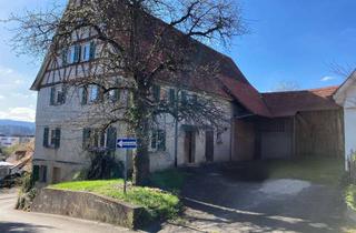 Bauernhaus kaufen in Mühlgasse 10, 72144 Dußlingen, Bauernhaus mit großem Grundstück