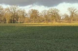 Gewerbeimmobilie kaufen in Puckaffer Weg, 22889 Tangstedt, 6,35 ha Landwirtschaftliche Fläche, Ackerland, an nördl. Stadtgrenze Hamburg