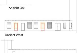 Loft kaufen in 38102 Braunschweig, Exklusives saniertes Loft mit Garten zum Mitgestalten im östliche Ringgebiet Braunschweig