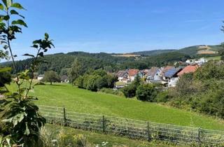 Mehrfamilienhaus kaufen in 67732 Hirschhorn, Hirschhorn/Pfalz - Geräumiges Mehrfamilienhaus mit exklusivem Panorama-Blick