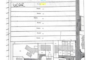 Anlageobjekt in 1.Katzengewanne, 67133 Maxdorf, Attraktives Ackerland mit Potenzial in Maxdorf -Erste Katzengewanne (1430qm)