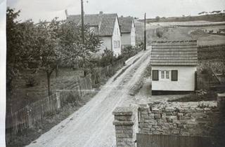 Einfamilienhaus kaufen in 38384 Gevensleben, Gevensleben - Großzügiges Einfamilienhaus mit Nebengebäude