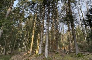 Gewerbeimmobilie kaufen in 94551 Lalling, 10120 m² Waldgrundstück für alle "die Holz lieben" in Lalling-Ranzing mit 2 Zufahrten*****