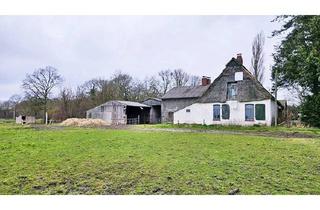 Bauernhaus kaufen in 27729 Holste, Bauernhaus, Landhaus in Holste