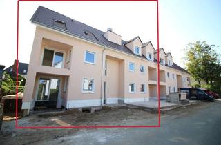 Wohnung kaufen in Tucholskystraße 16, 38440 Hohenstein, 5 Neubau Wohnungen in Wolfsburger Innenstadt