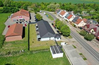 Wohnung mieten in Friedrich-Stengel-Straße 25A, 39444 Hecklingen, Neuwertige 2-Zimmer-Terrassenwohnung mit Balkon und Einbauküche in Hecklingen