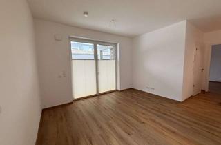 Wohnung mieten in 29614 Soltau, Exklusive 2-Zimmer-Neubau-Erdgeschosswohnung mit Privatgarten in Soltau