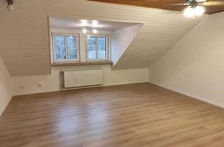 Penthouse mieten in 76761 Rülzheim, Penthouse Flair - Erstbezug nach Renovierung - 2 ZKB