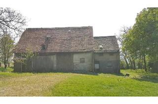 Bauernhaus kaufen in 33014 Bad Driburg, Bad Driburg - Bauernhof, Resthof, Hofstelle