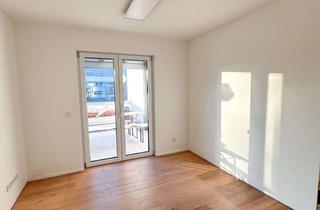 Wohnung mieten in 64354 Reinheim, Vollklimatisierte Luxuswohnung mit traumhafter Dachterrasse