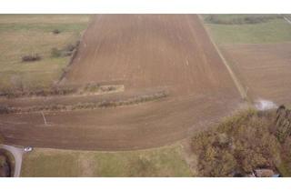 Grundstück zu kaufen in 89192 Rammingen, Gut andienbare Landwirtschaftsfläche! Erwerb auch für Nicht-Landwirte möglich