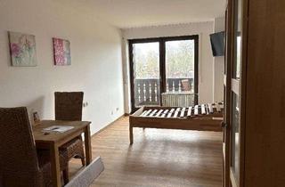 Wohnung mieten in 85410 Haag, Ch.Schülke Immob. - Möbliertes Appartement mit Balkon nähe Flughafen