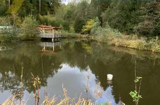 Grundstück zu kaufen in 94234 Viechtach, BLOCKHÜTTE - FISCHWEIHER -VOLL ERSCHLOSSEN