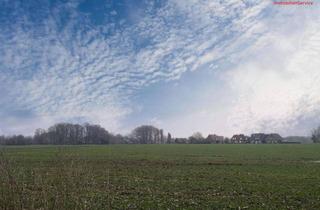 Gewerbeimmobilie kaufen in 49624 Löningen, Bestes Ackerland in Löningen-Bunnen