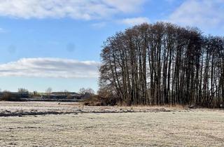 Grundstück zu kaufen in 16306 Casekow, Bauland - Wiese mit Weitblick