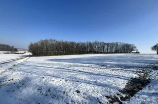 Grundstück zu kaufen in 74572 Blaufelden, Land- und Forstwirtschaftliche Fläche im Bieterverfahren