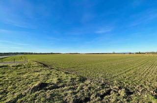 Gewerbeimmobilie kaufen in 82287 Jesenwang, Große schöne landwirtschaftliche Fläche bei Jesenwang