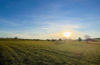 Gewerbeimmobilie kaufen in 82287 Jesenwang, Landwirtschaftliche Fläche bei Jesenwang/ Pfaffenhofen