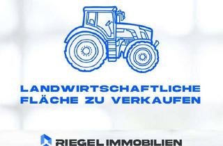 Immobilie kaufen in 67822 Mannweiler-Cölln, Sie hier? Wir auch! 7.536 m² Landwirtschaftliche Fläche