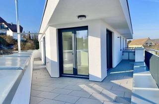 Penthouse mieten in 55283 Nierstein, *Erstbezug* 2-ZKB-Single-Penthouse-Wohnung mit Dachterrasse und Rheinblick