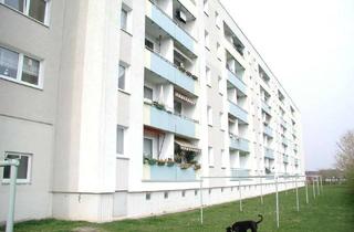 Wohnung mieten in Friedensring 59, 19243 Wittenburg, Schöne 2,5 Zimmer mit Balkon!