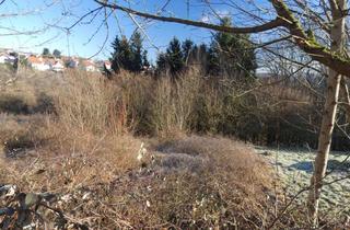 Grundstück zu kaufen in 66919 Weselberg, Weselberg - Voll erschlossenes Baugrundstück