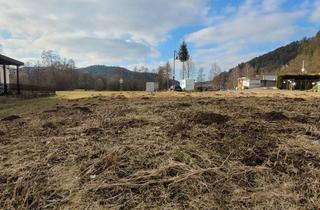 Grundstück zu kaufen in Untere Talaue, 72221 Haiterbach, Baugrundstück in Haiterbach ohne Bauzwang