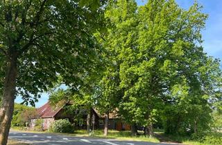 Mehrfamilienhaus kaufen in 29649 Wietzendorf, Wietzendorf - PROVISIONSFREI Mehrfamilienhaus mit großem Grundstück Weide Stall