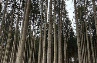 Gewerbeimmobilie kaufen in 85402 Kranzberg, Verkauf Waldgrundstück