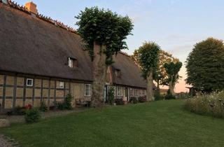 Wohnung mieten in 24897 Ulsnis, Schöne Wohnung in saniertem Resthof in Ulsnis