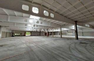 Gewerbeimmobilie mieten in 01477 Arnsdorf, Nähe Dresden | ca. 14.500 m² Produktion & Lager | teilbar ab 500 m² | Kranbahnen