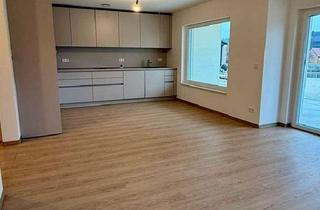 Wohnung mieten in 90579 Langenzenn, Neubau-Traumwohnung in Laubendorf - Modern, Lichtdurchflutet & Pflegeleicht! 4 Zimmer - EG - mit EBK