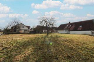 Grundstück zu kaufen in 73271 Holzmaden, Wunderschönes teilerschlossenes Grundstück mit viel Potenzial in Feldrandlage in Holzmaden